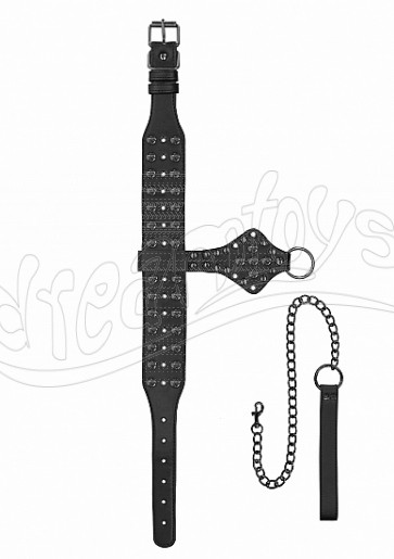 Deluxe Spiked Collar With Leash