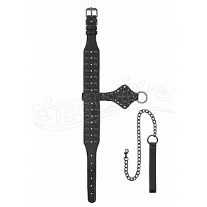Deluxe Spiked Collar With Leash